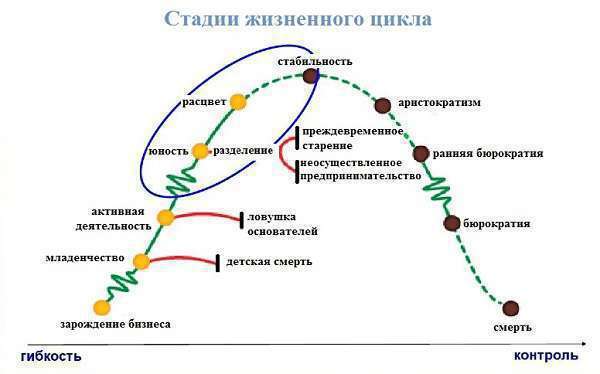 Зачем салону красоты новинки. Анализируем базовые параметры для внедрения новой услуги